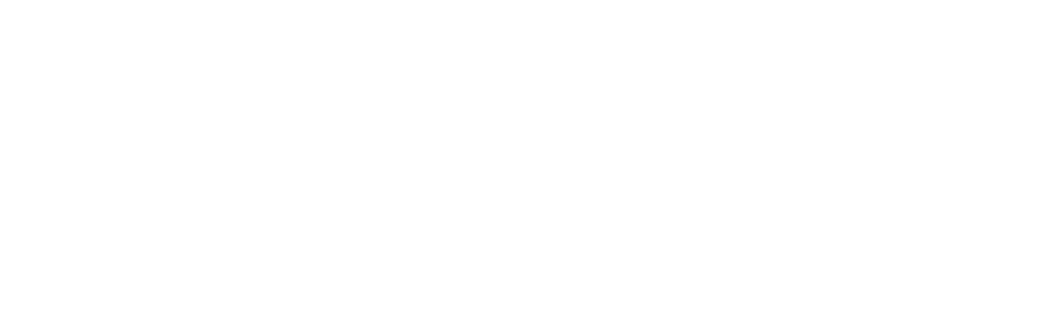 white logo cvwhizz