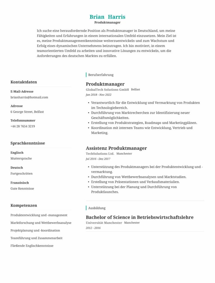 What Does A German Cv Look Like