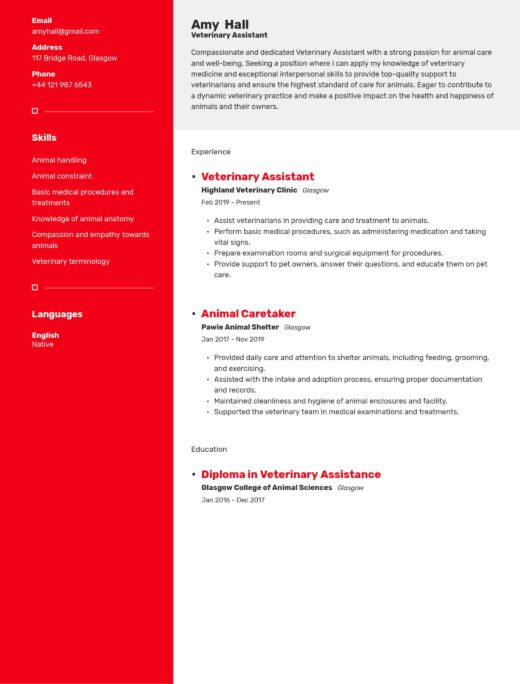 example of a chronological cv